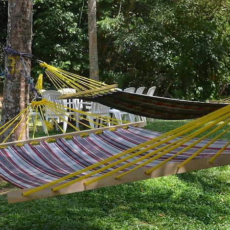 Jungle Beach Hostel Unawatuna Eksteriør bilde